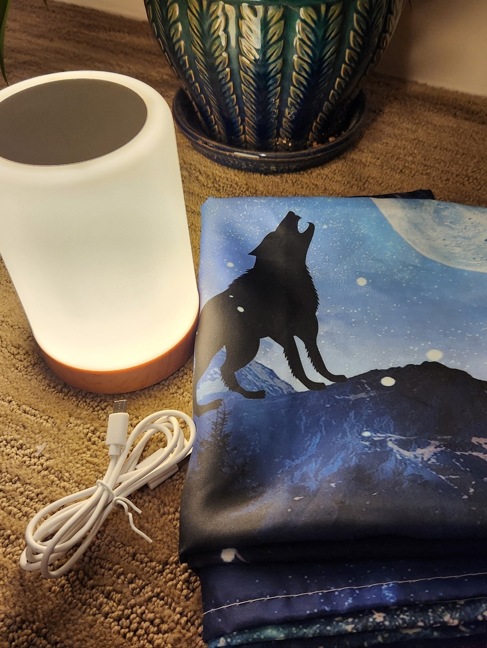 Wall Hanging Of A Wolf And A Color Changing Nightlight